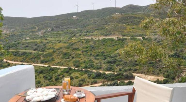 House with yard & terrace | Pets allowed in Milos