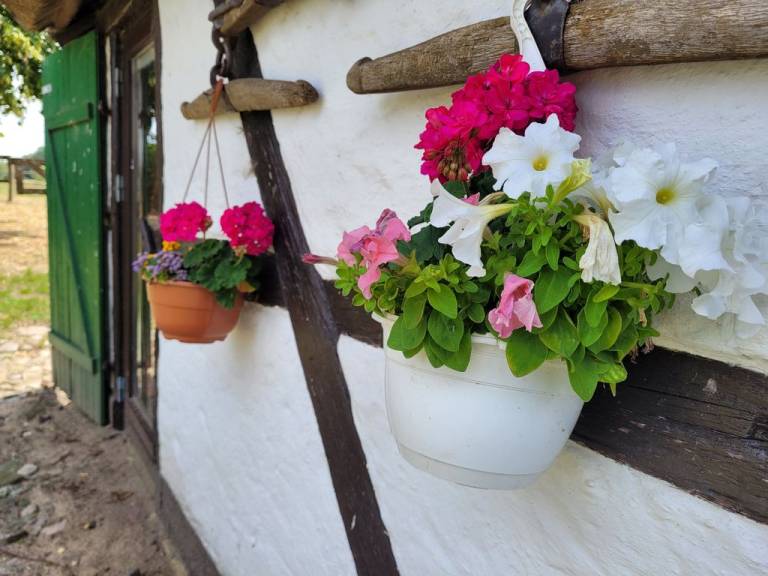 foto20