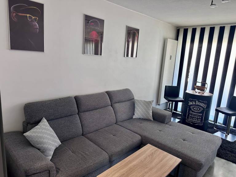 Appartement Haguenau