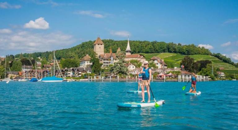 Lovely rental apartment | Pets are welcome in Hilterfingen