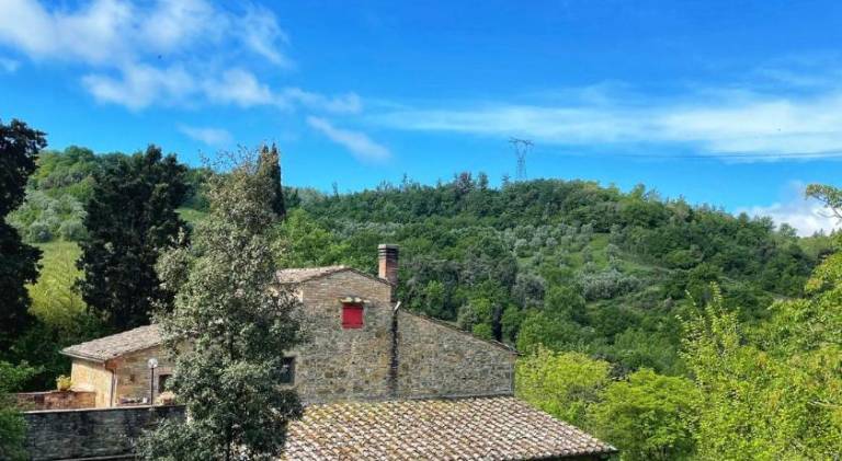 Fully equipped nice vacation home with grill, terrace & yard | Suitable for remote work | Pets allowed in Montaione