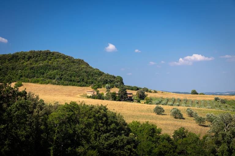 foto21