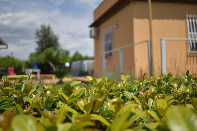 Ferienhaus auf Sizilien in Floridia für max. 3 Gäste