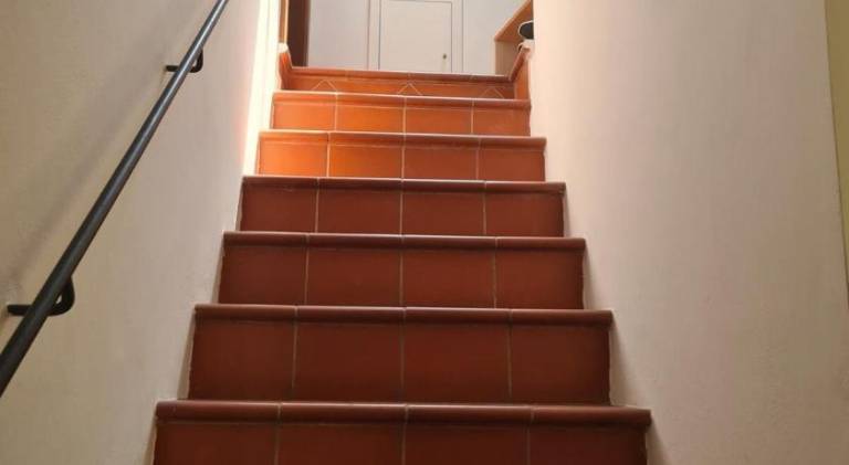 Holiday apartment | Pet-friendly — photo 3