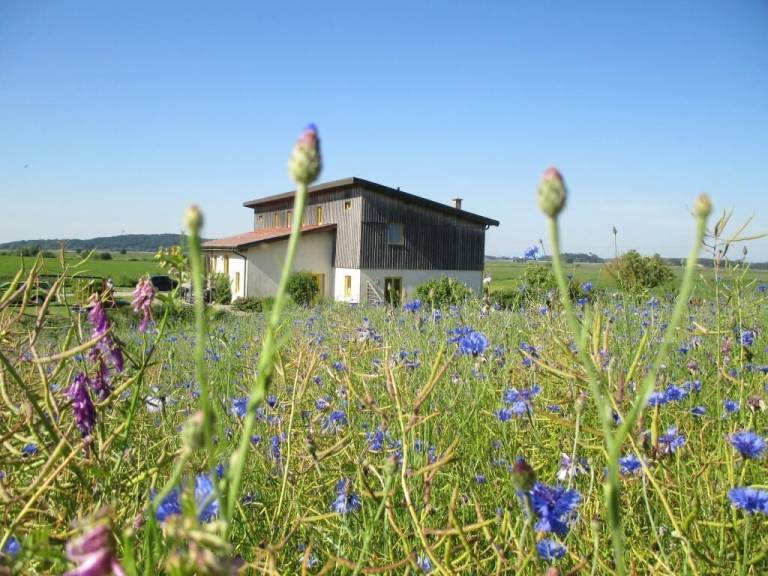 Apartament Wolgast