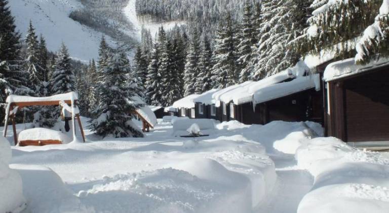 Lodge with yard, barbecue & patio in Demanovska Dolina