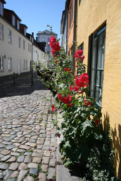 foto11