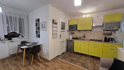 Apartament Drzonków