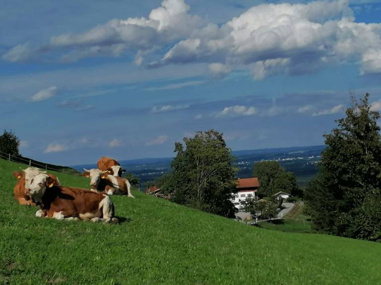 foto21