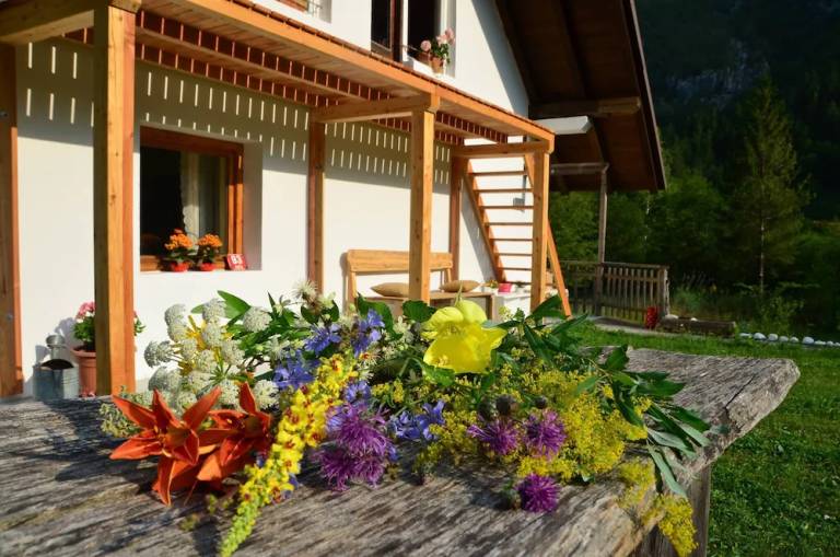 Apartma Julijske Alpe