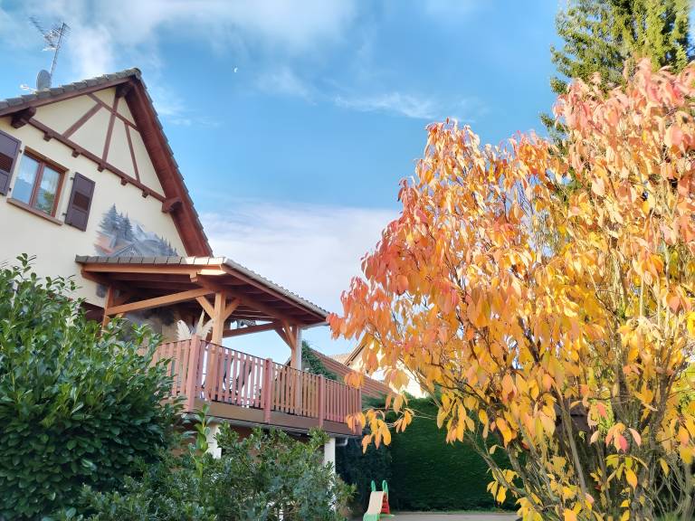 Child-friendly bed & breakfast with yard & patio | Garden view | Good for workation | Pets are welcome in Haguenau