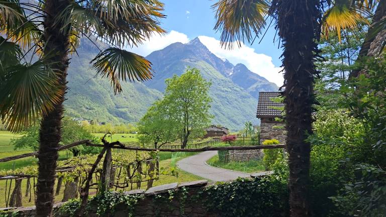 Apartment - dog friendly -  in Semione, Ticino Ticino for max. 4 persons