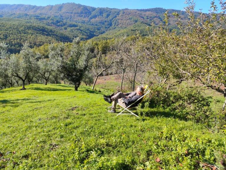 Agriturismo Li Guira – Natura, uliveti ed esperienze autentiche nel Cilento: L'Ulivo: Spazio per 7 (no cucina) nel cuore del Parco del Cilento. Autentica semplicità rurale e due bagni per il massimo comfort. — photo 5