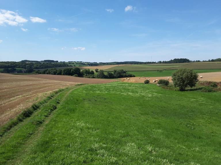 foto11