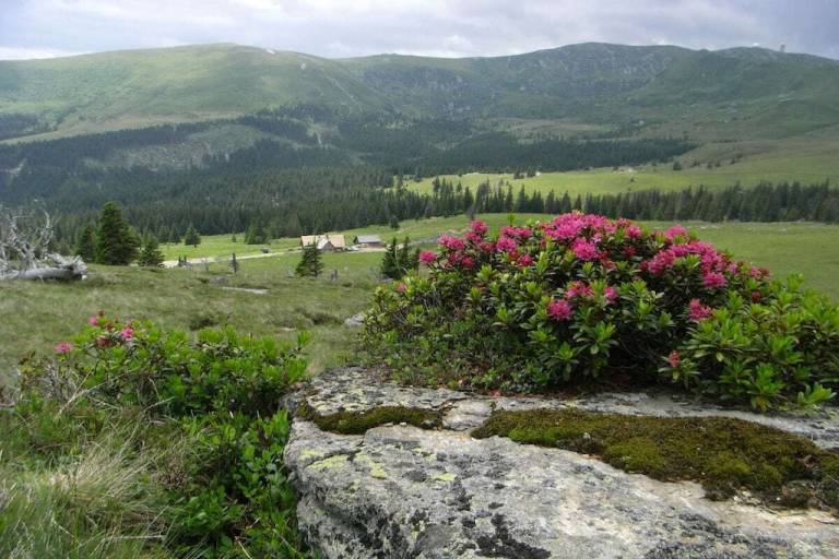 foto17