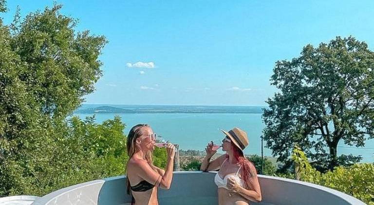 Vacation home with garden, barbeque & patio | Perfect for remote work | Pet-friendly in Veszprem