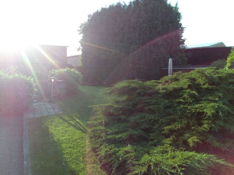 foto10