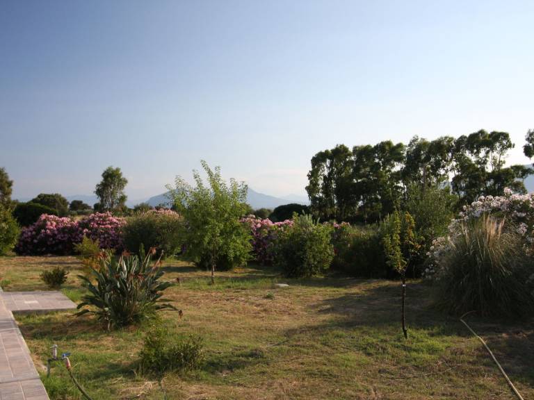 foto17