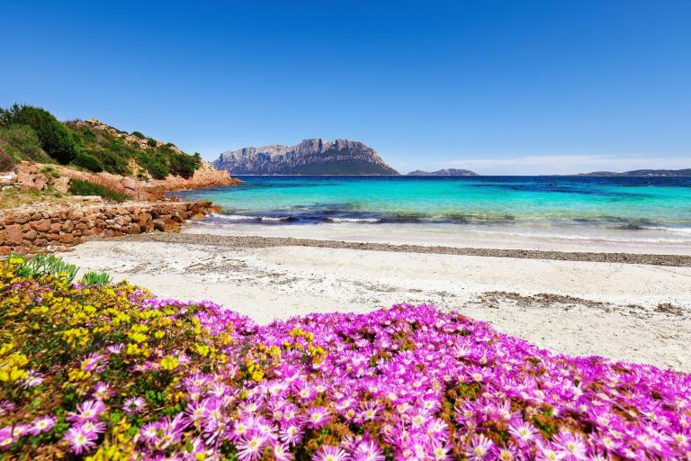 Ferienwohnung Olbia