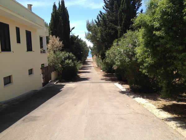 Child-friendly holiday apartment with yard | Next to the beach | Pets are welcome — photo 4