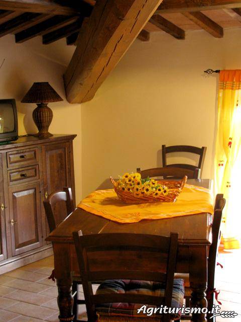 foto8