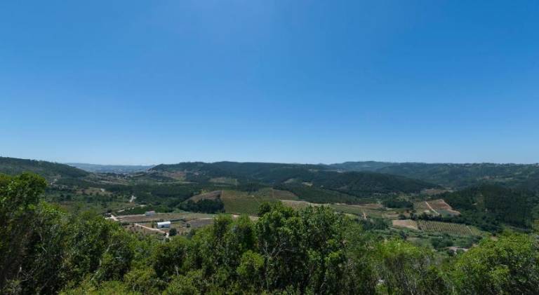 foto43