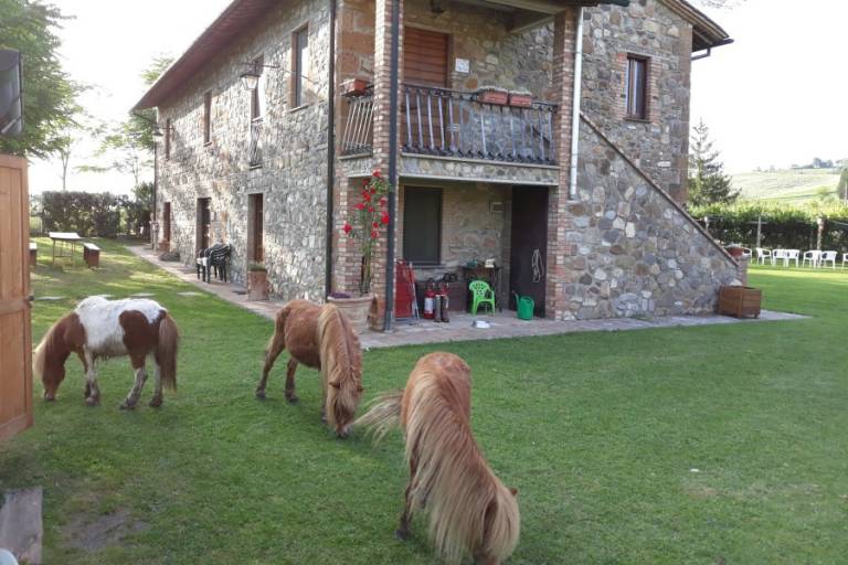 Il Paglia - vacanze nel verde tra Lazio, Umbria e Toscana: Magazzino — photo 2