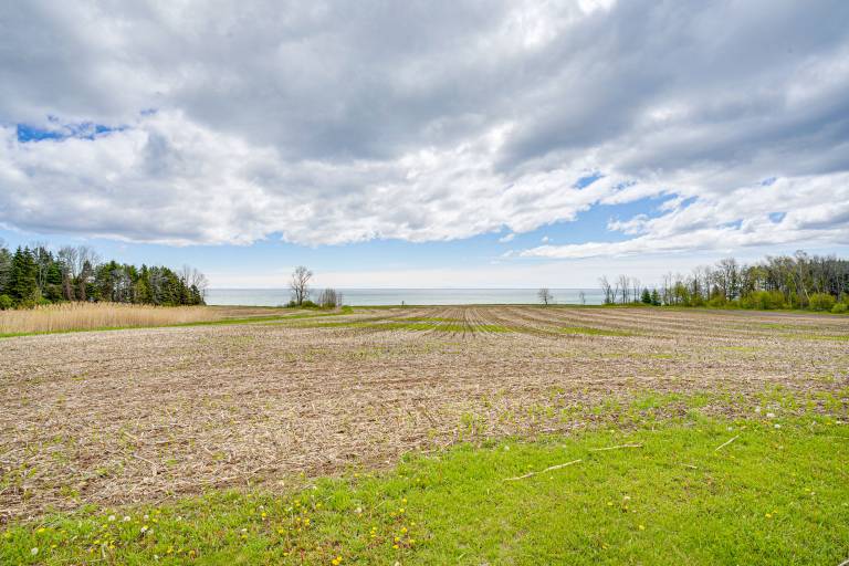 Pet Friendly Home on 15 acres - Lake Michigan — photo 3