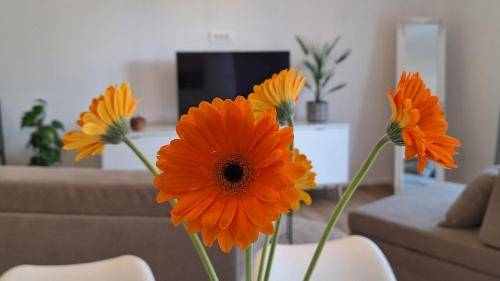 Apartma Depala Vas