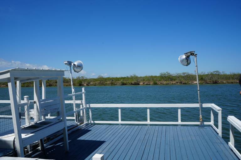 Arroyo City, TX Vacation Rentals from 100 HomeToGo