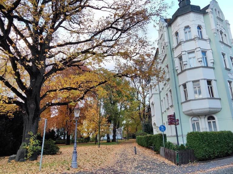 Ferienwohnung  Zittau