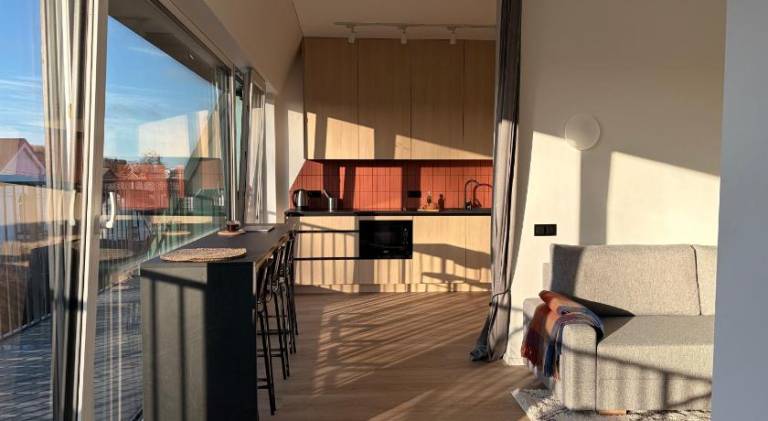 Rental apartment with patio in Kaunas