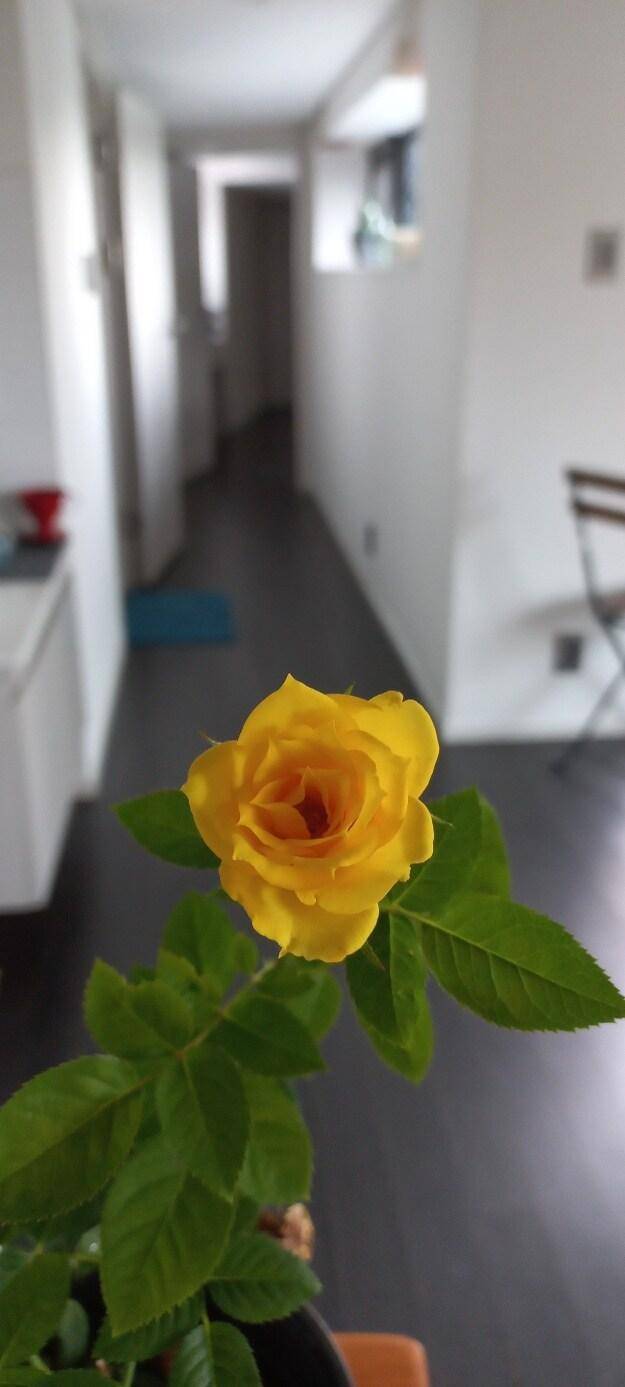foto7