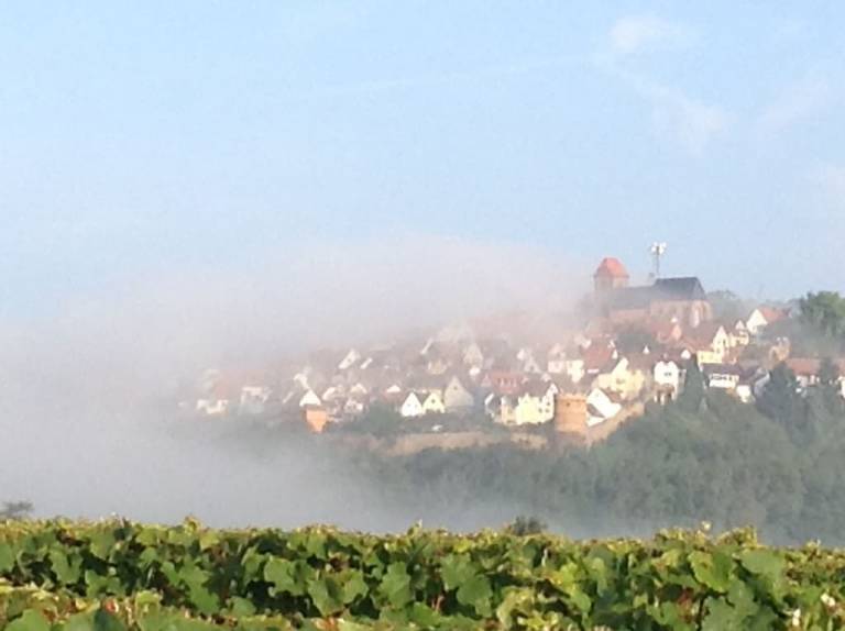 Ferienwohnung Weisenheim am Berg