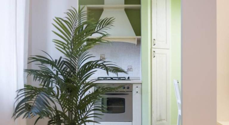 Lovely holiday apartment | Pet-friendly — photo 4