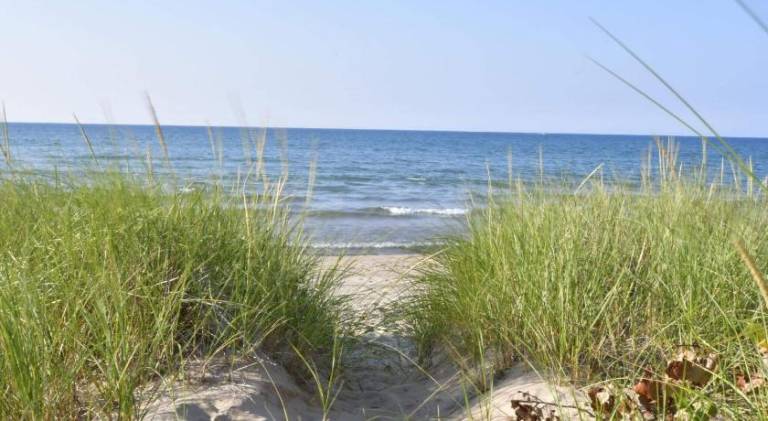 House with jacuzzi | Close to the beach | Suitable for remote work | Pets are welcome — photo 5