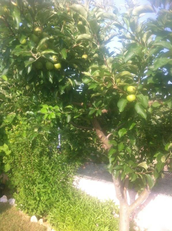 foto15