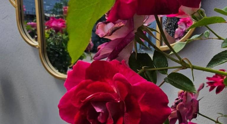 foto24