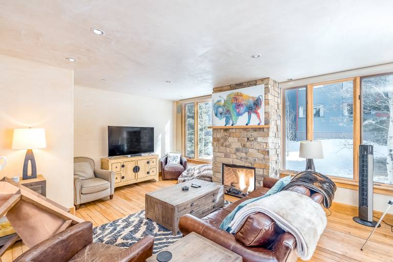Condo Telluride