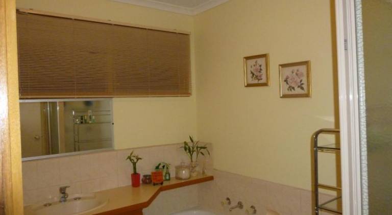 foto4