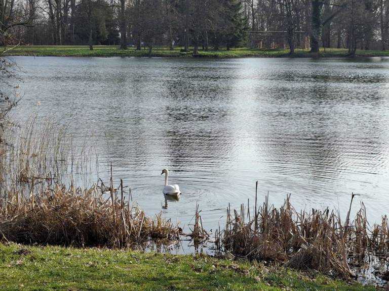 Appartement Putbus
