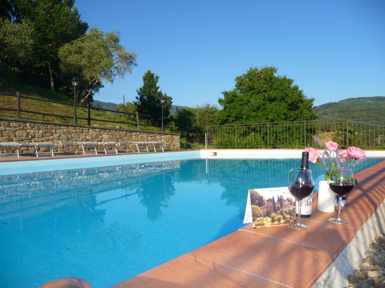 Family-oriented lovely farm with garden, barbecue & pool | Garden view | Pets are welcome — photo 4