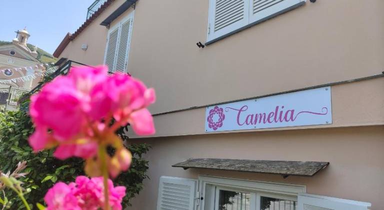 Camelia Vico Equense in Vico Equense