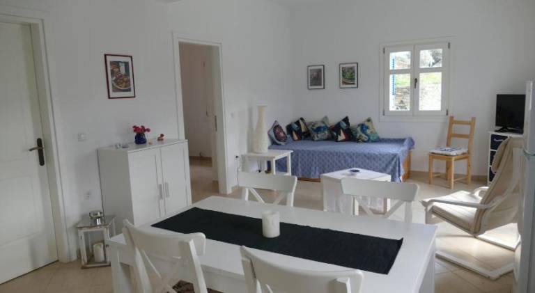 Holiday apartment with garden & terrace in Andros