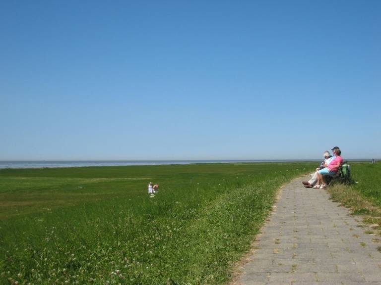 foto12