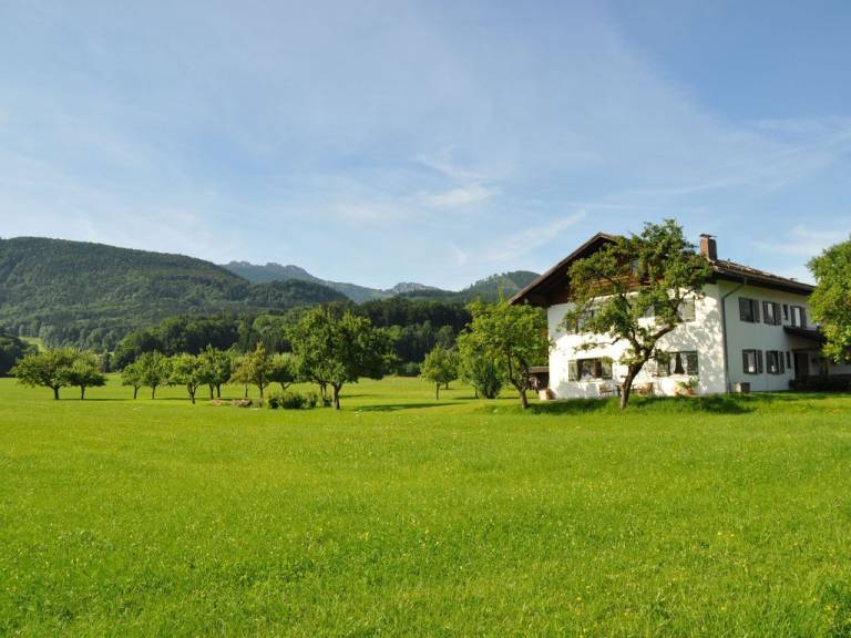 foto17