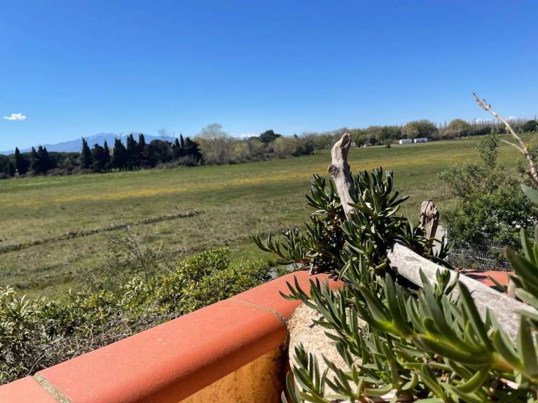 Rental apartment | Beach nearby | Dogs allowed in Argelès-sur-Mer