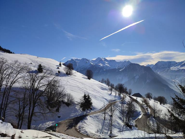 Chalet Villard-Reculas