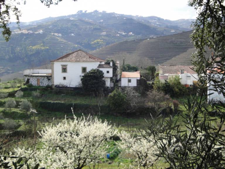 Quarto particular Oliveira