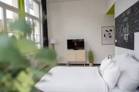 foto2